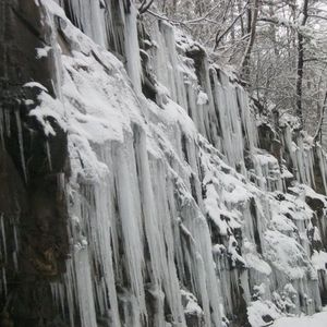 Meet your Posher, Scotty